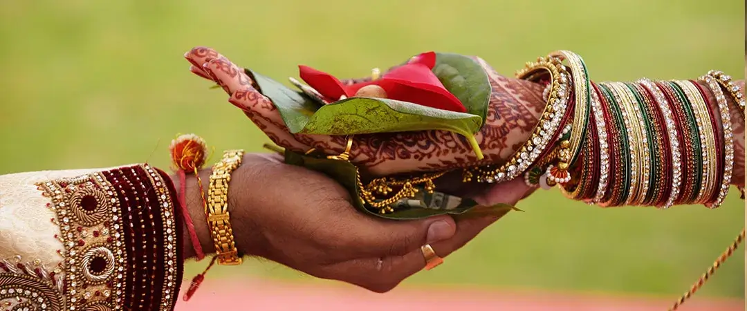 hero image